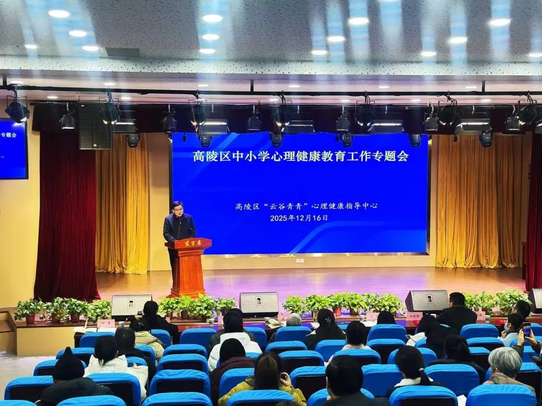 赋能青少年全面健康成长——西安市高陵区筑强“云谷青青”心