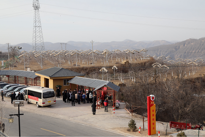 <b>红色故里果飘香 子长苹果产业绘就乡村振兴新图景</b>