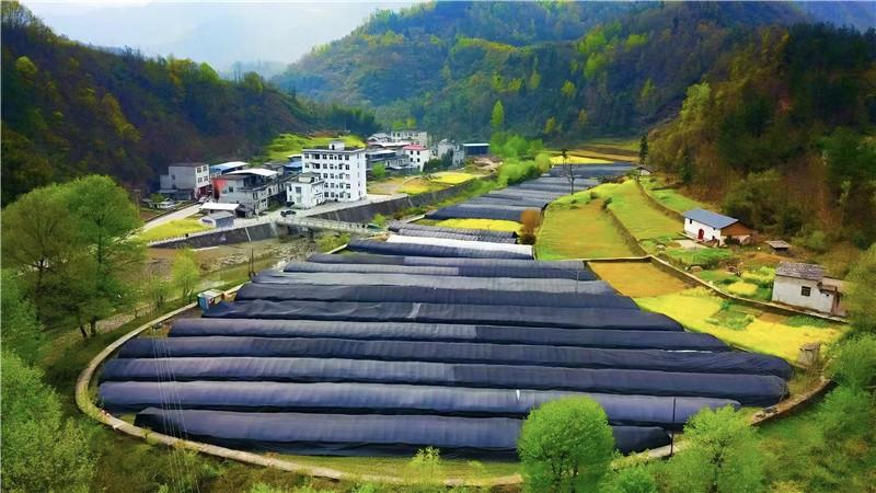 <b>新春走基层 | 泥土里的新希望</b>