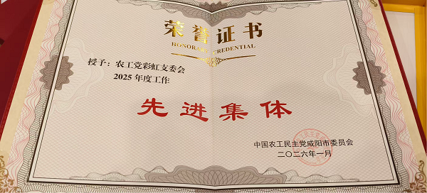 <b>咸阳彩虹医院：党建引领强统战 凝心聚力结硕果</b>