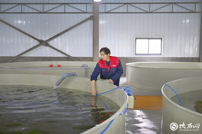 新春走基层｜安康市汉阴县：做强特色产业 乡村振兴向“新”更