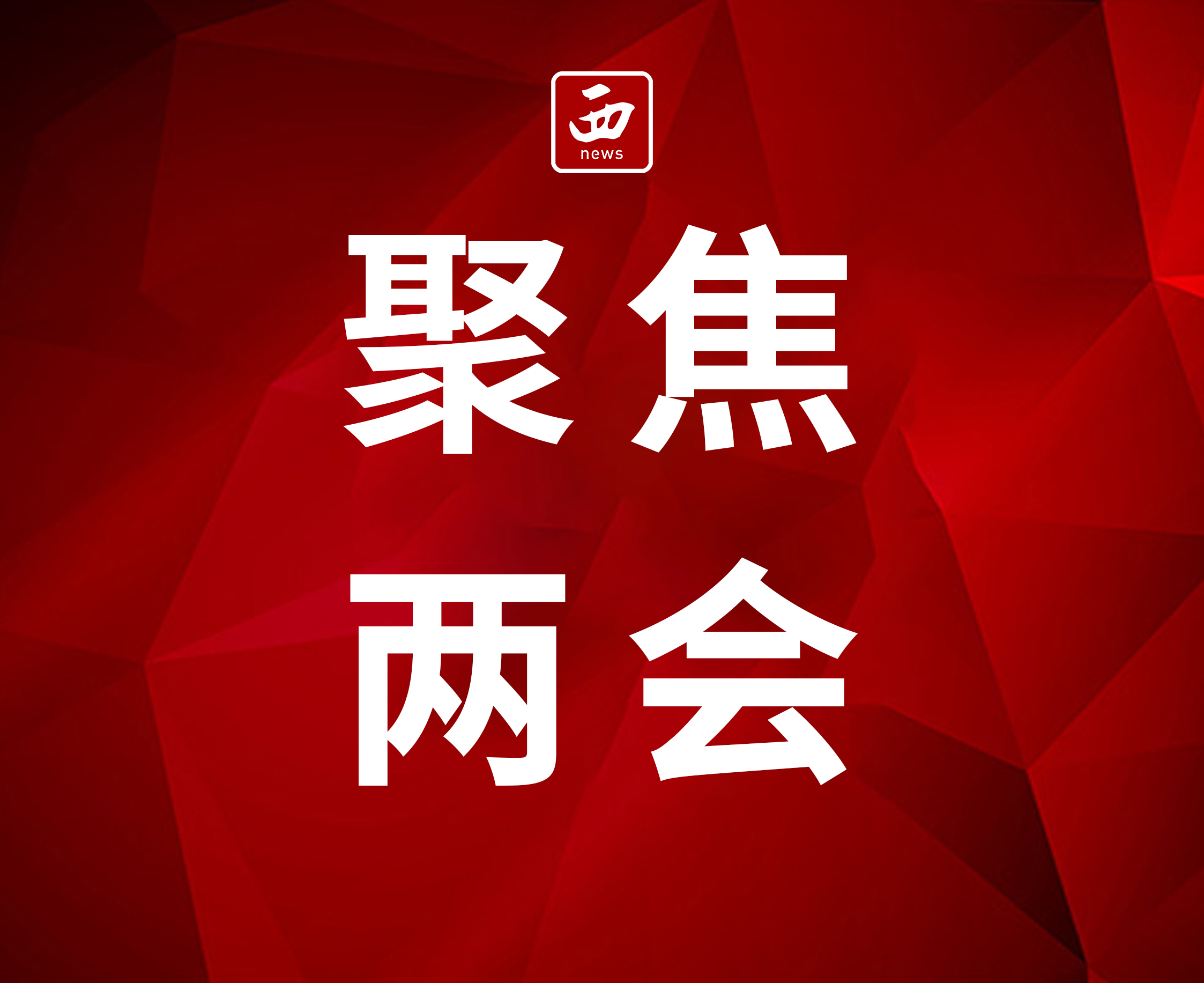 住陕全国政协委员分组讨论“十五五”规划纲要草案
