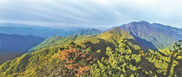 增强绿色发展新动能 描绘美丽陕西新画卷