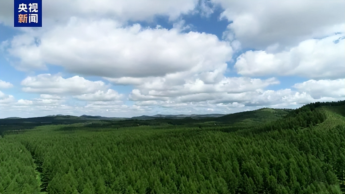 时政微视频丨把绿色的种子种进心里