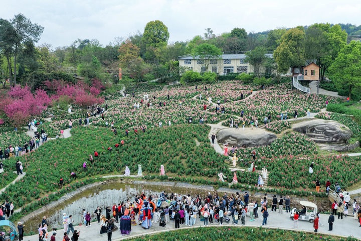听民意 解民忧 固长效——各地扎实开展树立和践行正确政绩观
