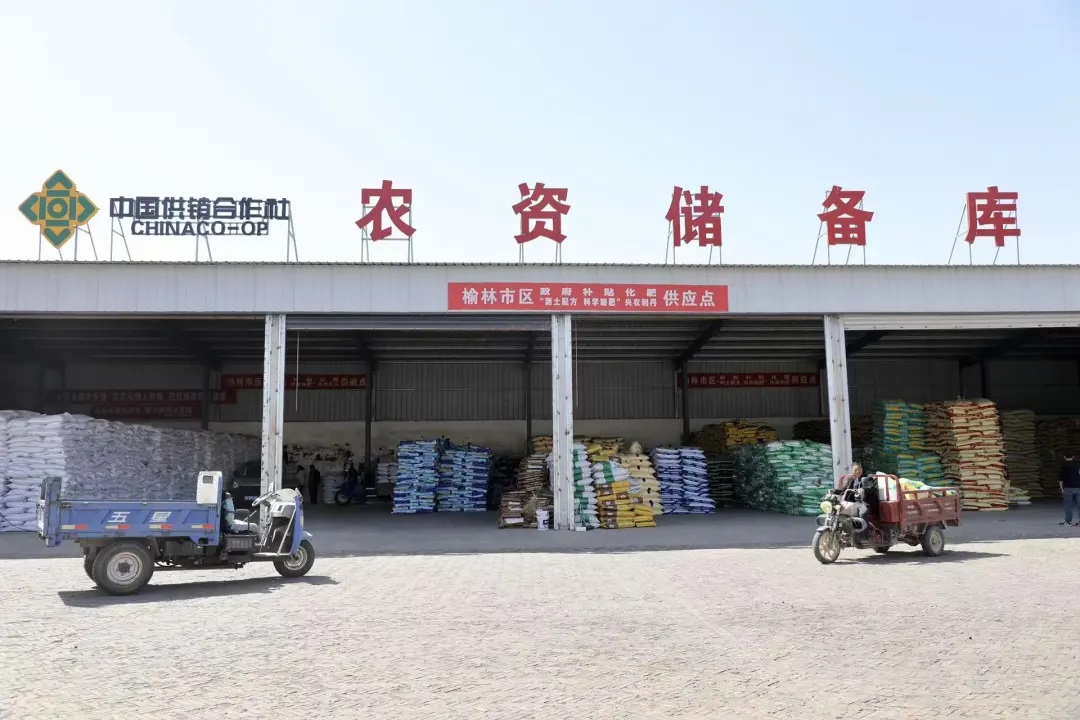 榆林市榆阳区：备足“粮草”保春耕 服务“三农”暖民心