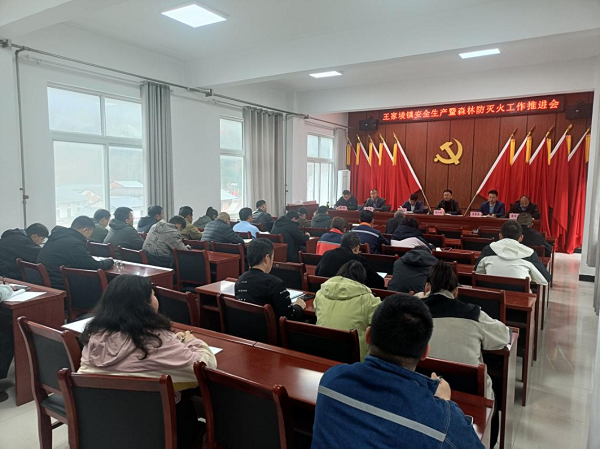宝鸡市太白县王家堎镇召开安全生产暨清明节防火工作专题会议