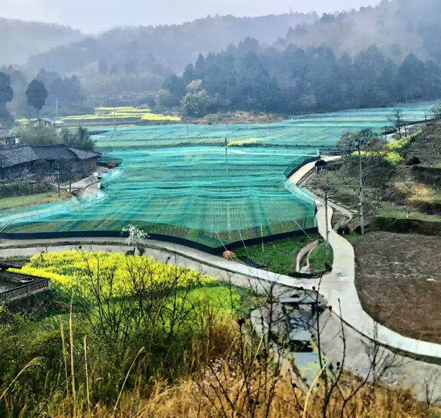 <b>四川剑阁下寺镇：强招引推进低效园区二次创业</b>