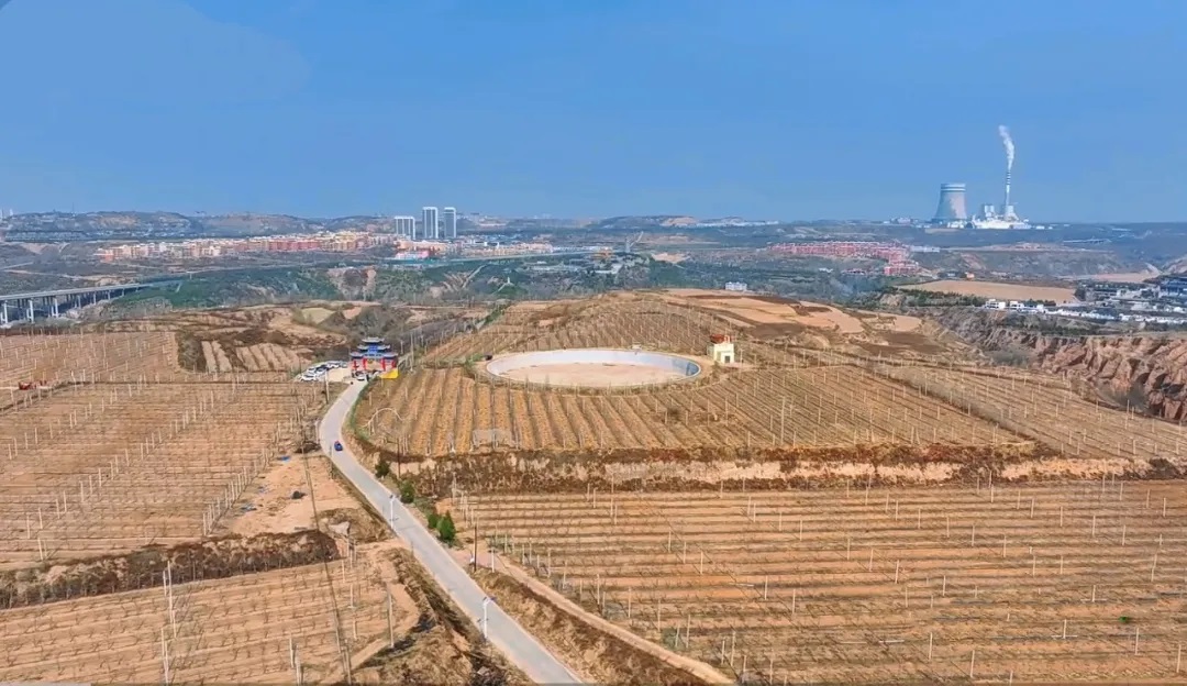 榆林市榆阳区青云镇：地企共建赋能低效果园变身增收“聚宝盆