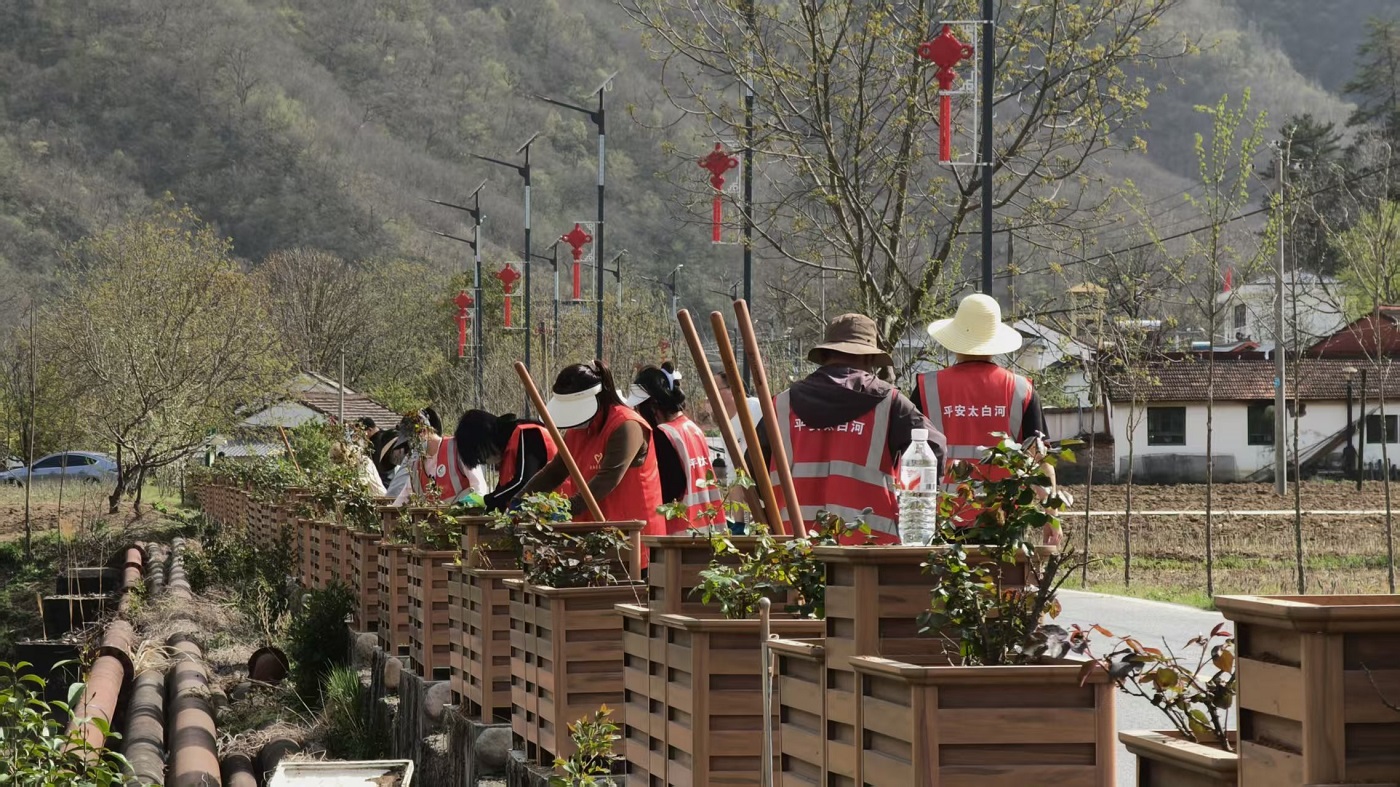 宝鸡市太白县太白河镇机关党支部开展环境整治主题党日活动