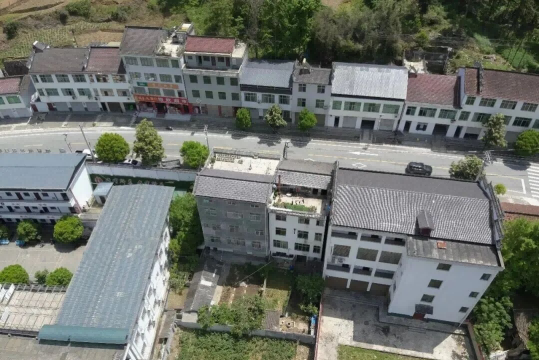 为煮汤提鲜私种罂粟在楼顶？汉中镇巴民警无人机巡查发现后铲除