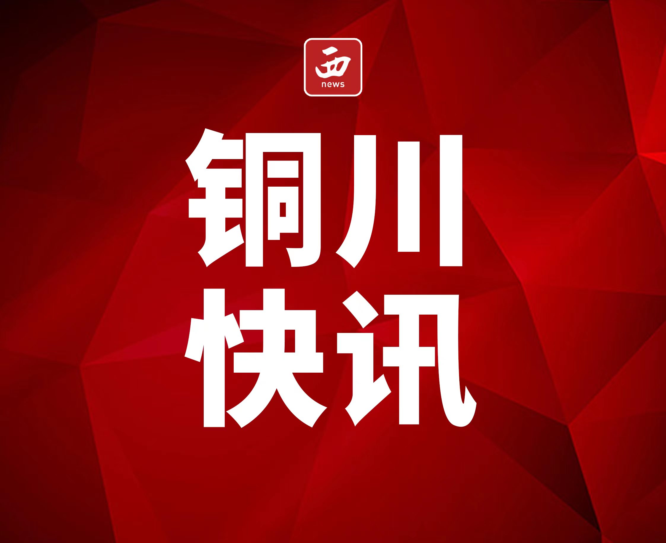 <b>铜川市印台区：深化改革优服务  便民利民不打烊</b>