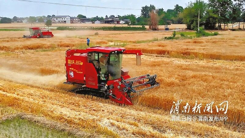 <b>渭南麦客走四方 千里驰援保丰收——渭南市农机手跨区作业纪实</b>