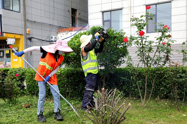 铜川市宜君县以精细化绿化提质赋能城市更新