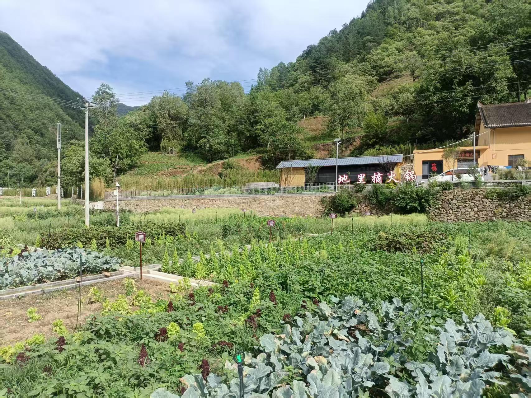 <b>商洛市柞水县：片区协同兴产业 沟域经济启新程  　　</b>