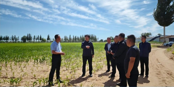 <b>榆林市靖边县农业农村局党组书记刘雷深入各镇调研农业产业发展</b>