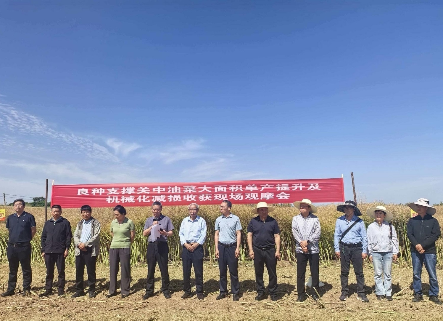 陕西加快油菜机械化减损收获技术推广