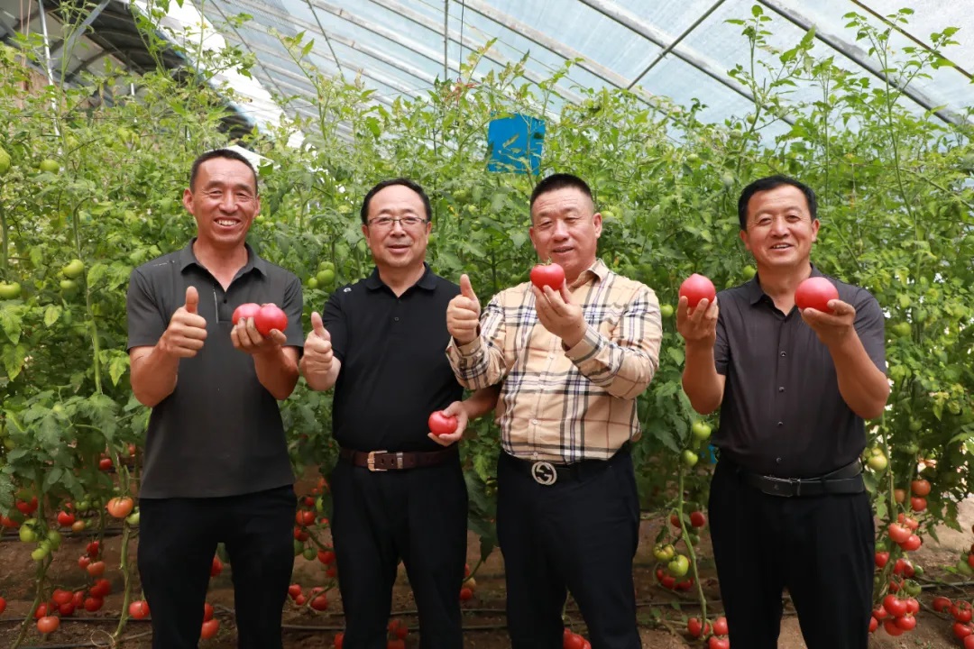 <b>榆林市榆阳区引进蚯蚓生态立体种养技术 助力农业绿色发展</b>