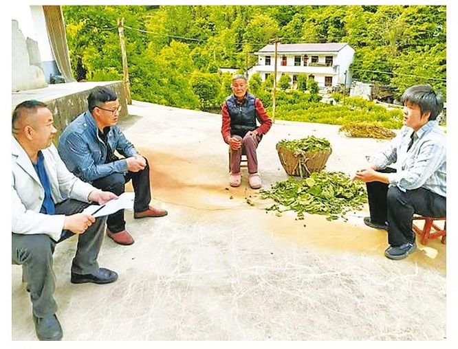 <b>商洛市镇安县人大代表聚焦关键联动监督    </b>