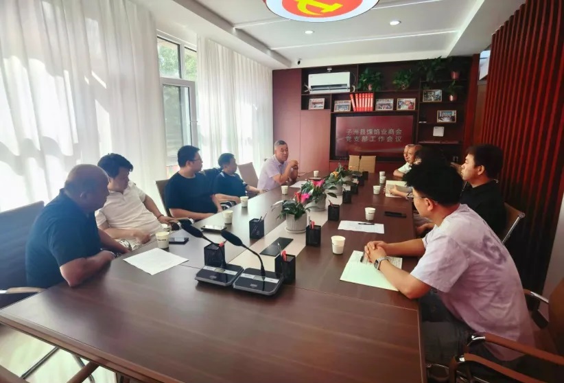 <b>红色引擎驱动全域振兴——榆林市子洲县“党建+产业链+服务链”融合发展</b>