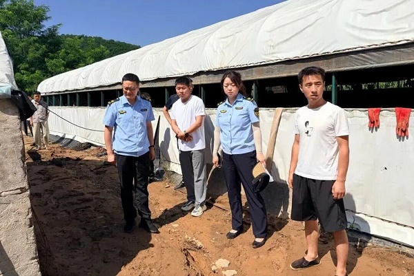 <b>铜川市印台环保：迎汛应“烤”多举措筑牢畜禽养殖生态堤</b>