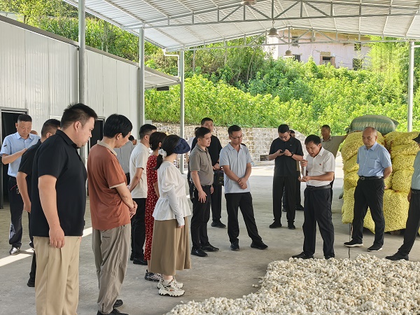 <b>安康市汉滨区沈坝镇：组团聚力促振兴 互学互鉴共发展</b>