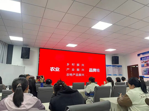 <b>汉中市宁强县大安镇“驿尚花村播”电商联盟赋能乡村发展</b>