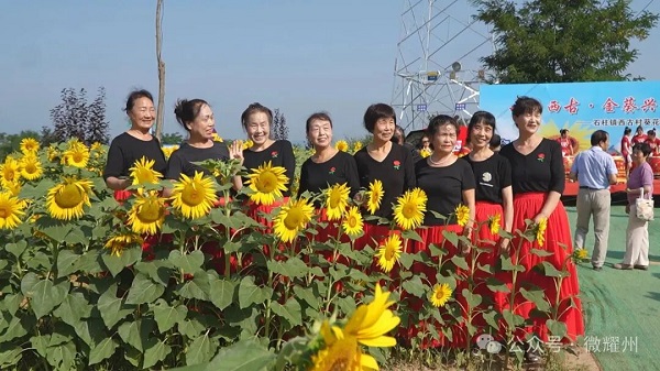 <b>铜川市耀州区：油葵产业绘就乡村振兴新画卷 村民增收“金钥匙”</b>