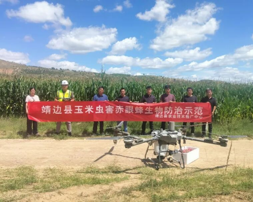 <b>榆林市靖边县开展无人机释放赤眼蜂防治玉米螟示范作业</b>