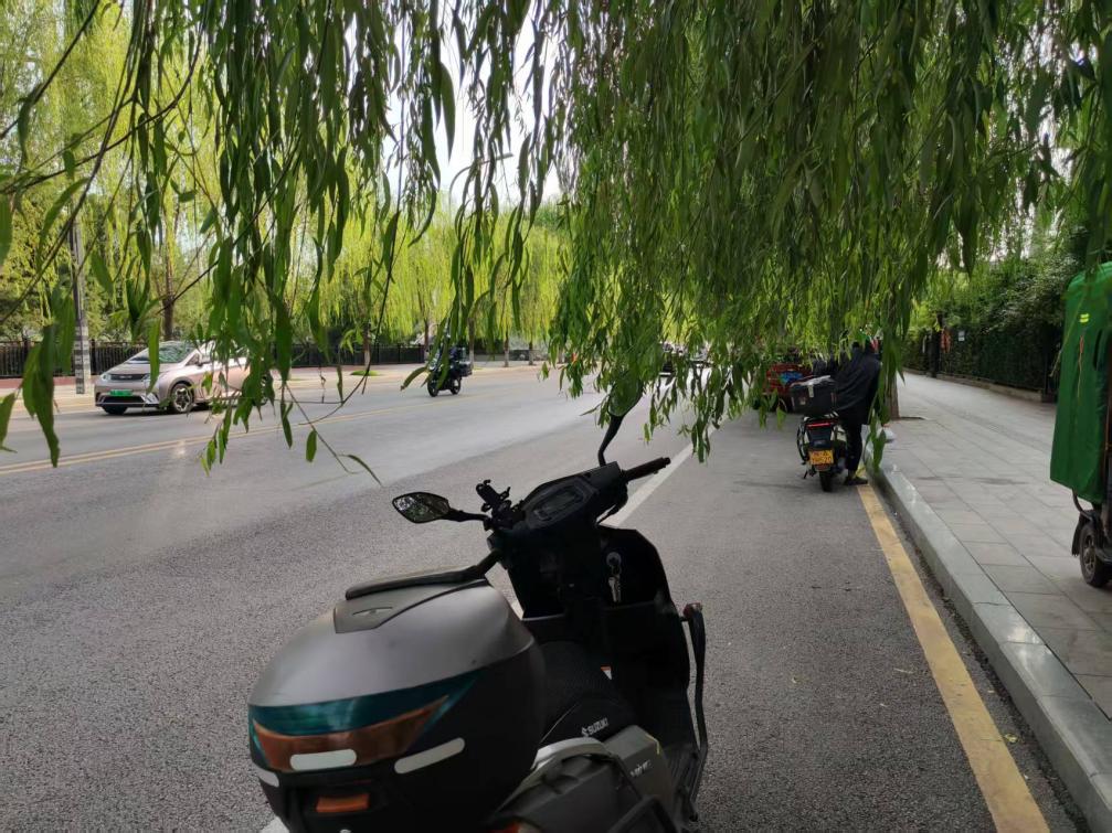 <b>垂柳挡道、违停占道，非机动车“无路可走”？咸阳渭阳东路存安全隐患</b>