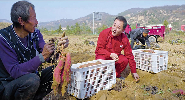 <b>高原“薯”光——延长石油管道公司十一载助力乡村振兴路</b>