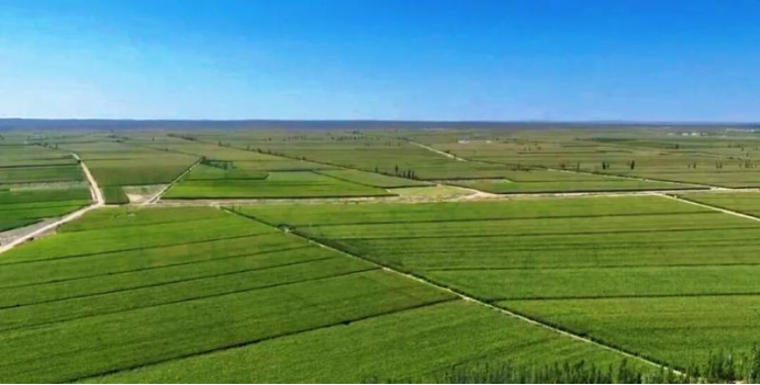 <b>良田筑根基，沃野绘“丰”景！内蒙古阿拉善盟持续推进高标准农田建设</b>