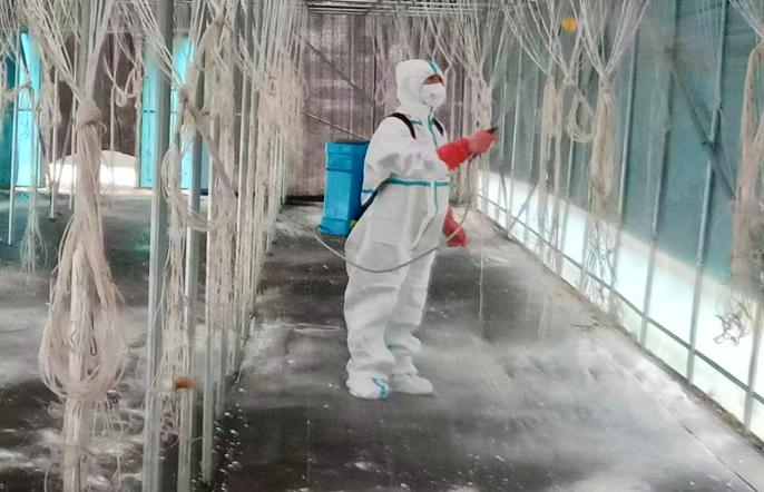<b>商洛市柞水县小岭镇：消杀护棚忙 静待秋耳香  </b>