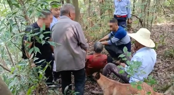 <b>“汪汪队”立功！安康平利警犬进山找回走失老人</b>