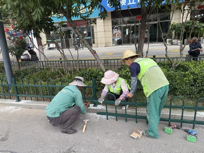 <b>商洛城管：精细管护焕新颜  绿意盎然迎盛会  </b>