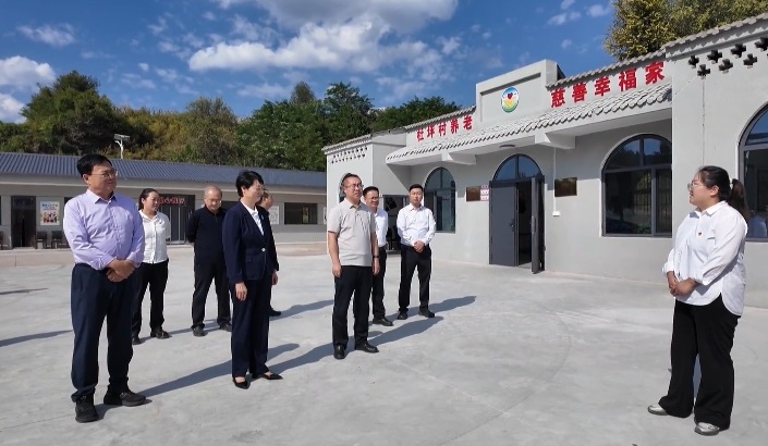 延安市宝塔区人大常委会调研全区2026年度十件民生实事项目推进情况