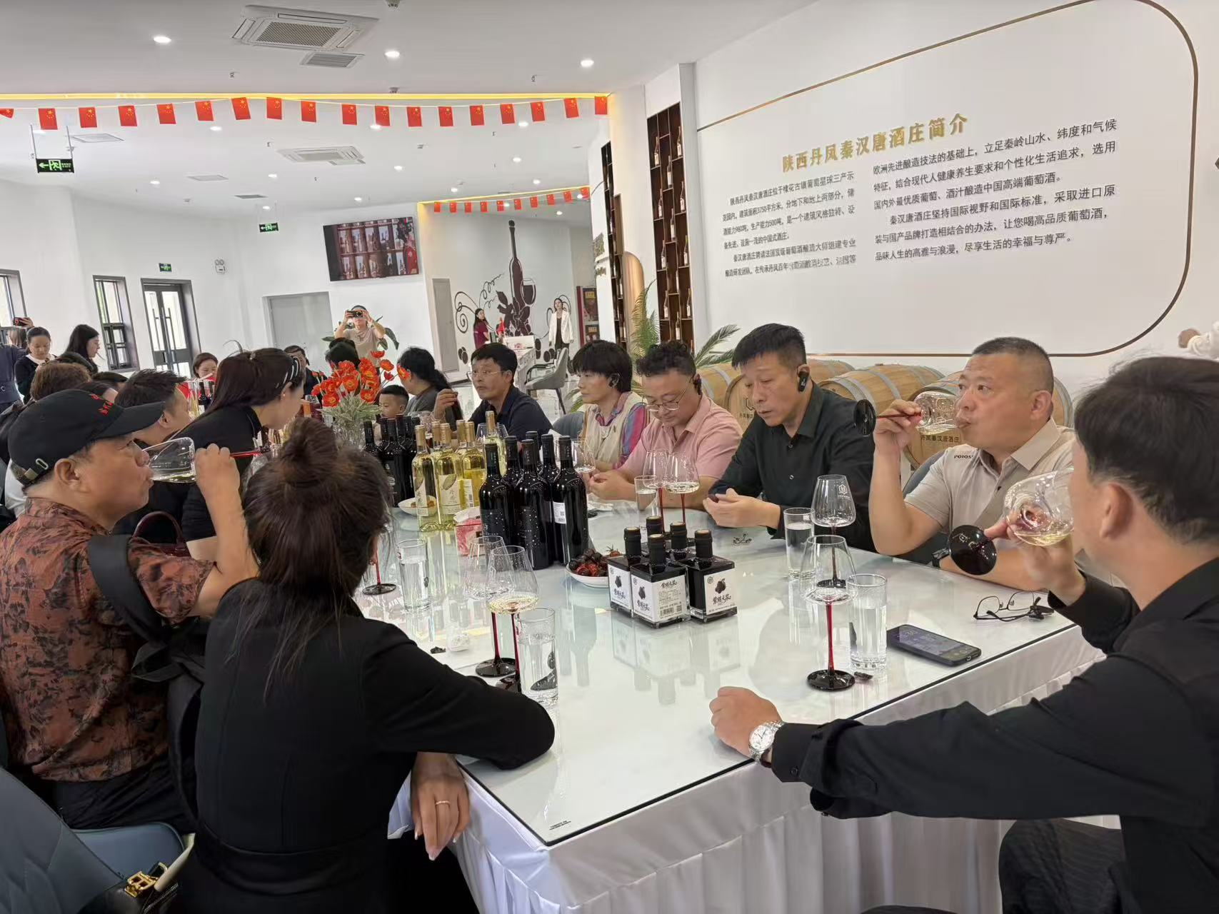 2026年中国农民丰收节商洛市主会场暨丹凤县红酒文化交流会侧记