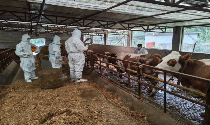 商洛市柞水县畜牧兽医中心技术人员护航双节安全