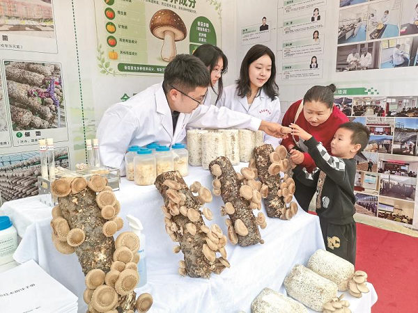 铜川市多彩活动欢庆中国农民丰收节