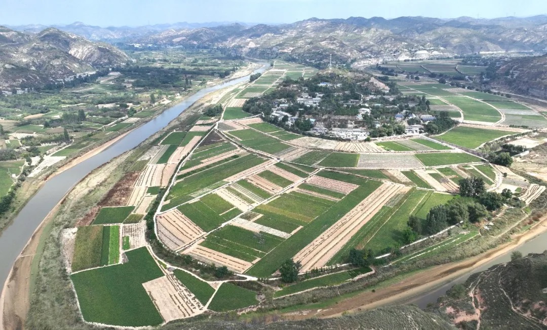 <b>榆林市绥德县：沙地红薯串起富民链 特色产业铺就增收路</b>