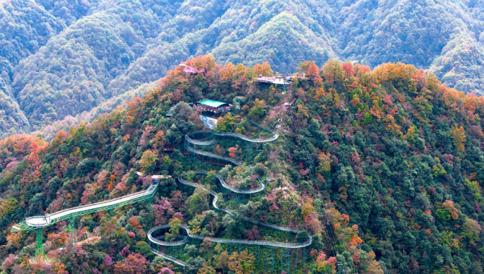 <b>云海绘秋山 红叶启盛会</b>