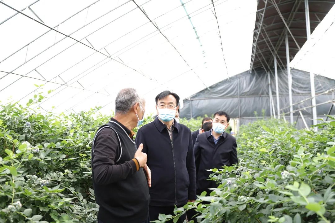<b>钟洪江到汉台区、洋县调研疫情防控、生态环保、稳增长等工作</b>