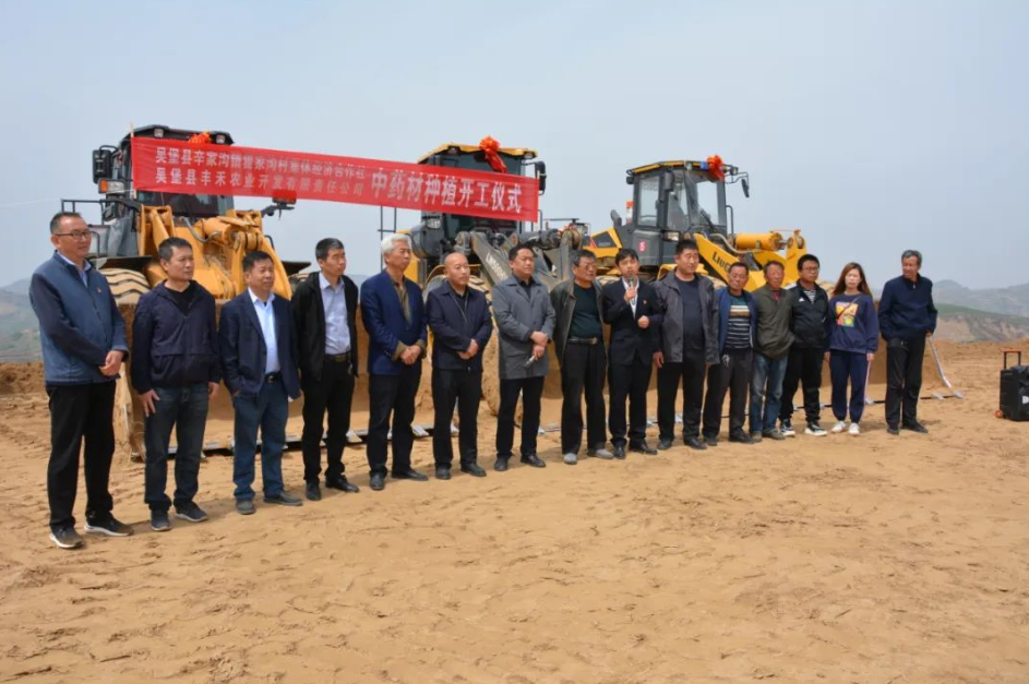 <b> 投资500万元！吴堡县将打造2500亩中药材种植基地</b>
