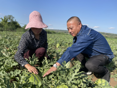 <b>国网咸阳供电公司：动真心帮扶 用真情解忧</b>