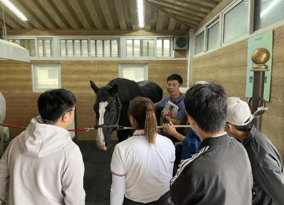 <b>西北首次！秦汉新城秦汉国际马术中心组织举办BHS培训</b>