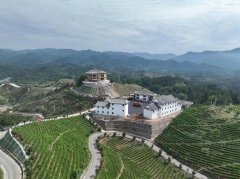 <b>商洛市商南县：茶旅康养融合发展 助推业态转型升级</b>