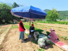 <b>宝鸡市凤县凤州镇：互助资金成为群众产业致富的助推器</b>