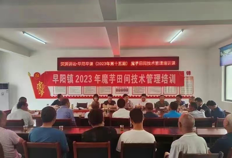 <b>汉滨区早阳镇：让“文明实践”成为解锁群众需求的“金钥匙”</b>