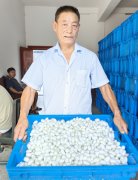 <b>商洛市镇安县：小蚕桑“织密”群众致富网</b>