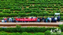 <b>从茶马古道到跨越国界的茶香共鸣——外国记者探访紫阳富硒茶园</b>